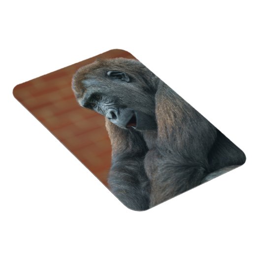 Gorilla Shufai Magnet (Rechte Seite)