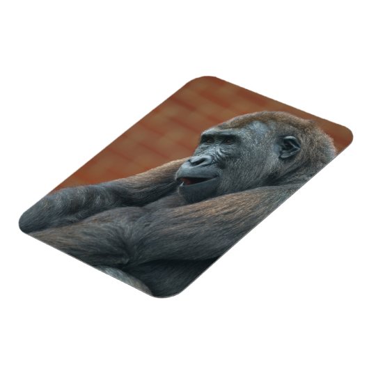 Gorilla Shufai Magnet (Linke Seite)