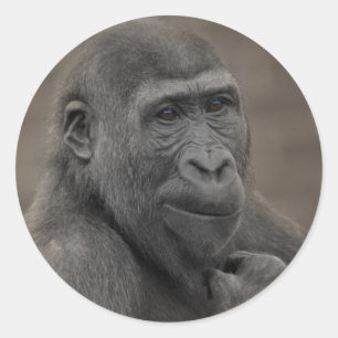 Gorilla Shufai Runder Aufkleber