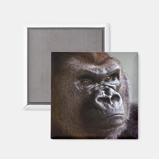 Gorilla Silverback Magnet (Vorderseite/Rückseite)