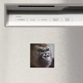 Gorilla Silverback Magnet (In Situ (Geschirrspüler))