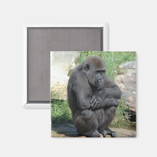Gorilla Sitting Magnet (Vorderseite/Rückseite)