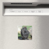 Gorilla Sitting Magnet (In Situ (Geschirrspüler))