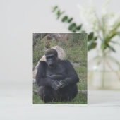 Gorilla Sitting Postkarte (Stehend Vorderseite)