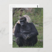 Gorilla Sitting Postkarte (Vorne/Hinten)