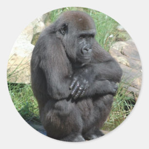 Gorilla-sitzender Aufkleber