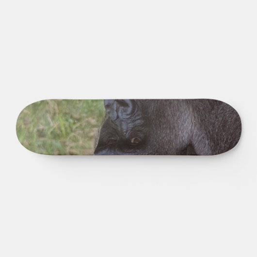 Gorilla Skateboard (Horizontal)