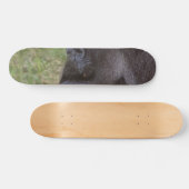 Gorilla Skateboard (Horizontal)