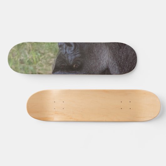 Gorilla Skateboard (Horizontal)