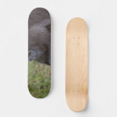Gorilla Skateboard (Vorderseite)