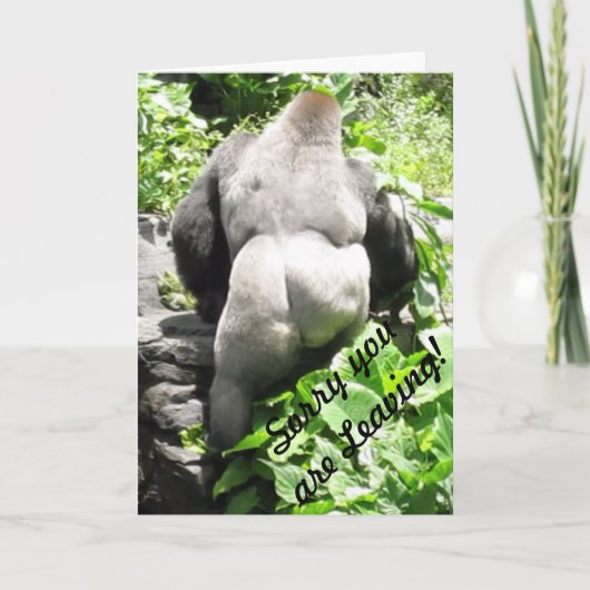 Gorilla 'Sorry you are Verlass' Grußkarte Karte (Vorderseite)