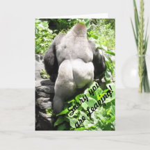Gorilla 'Sorry you are Verlass' Grußkarte