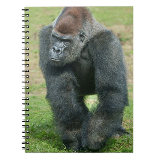 Gorilla-Sprache der Stärke Notizblock (Vorderseite)