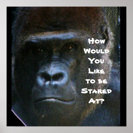 GORILLA STARTET MIR NICHT AUF DAS Poster (Vorne)