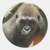 Gorilla Stickers (Vorderseite)