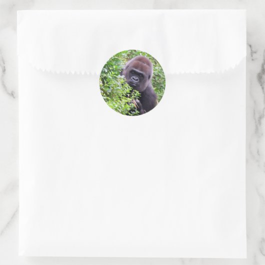 Gorilla Stickers (Tasche)