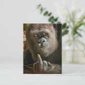 Gorilla Tall Man Postkarte (Stehend Vorderseite)