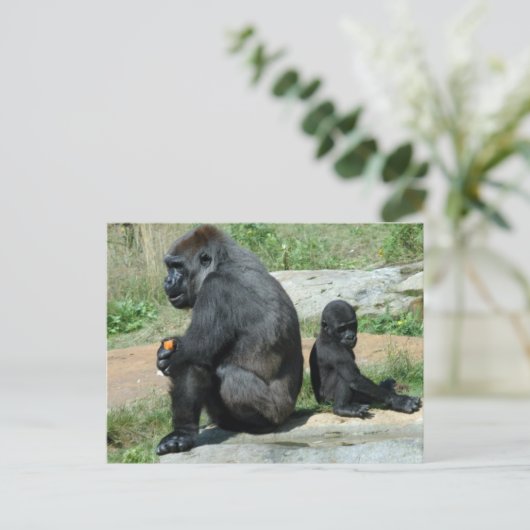 Gorilla Time Out Postkarte (Stehend Vorderseite)
