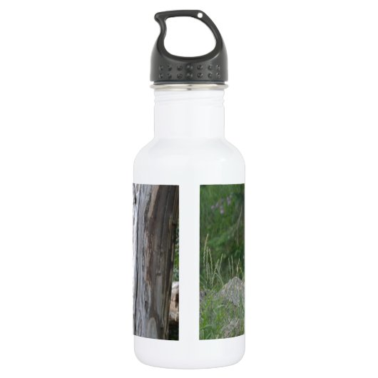 Gorilla Trinkflasche (Rückseite)