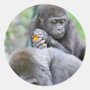 Gorilla und Baby Runder Aufkleber
