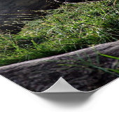 Gorilla und die Sonne Poster (Ecke)