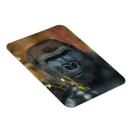 Gorilla und sein Berries-Foto Magnet (Rechte Seite)