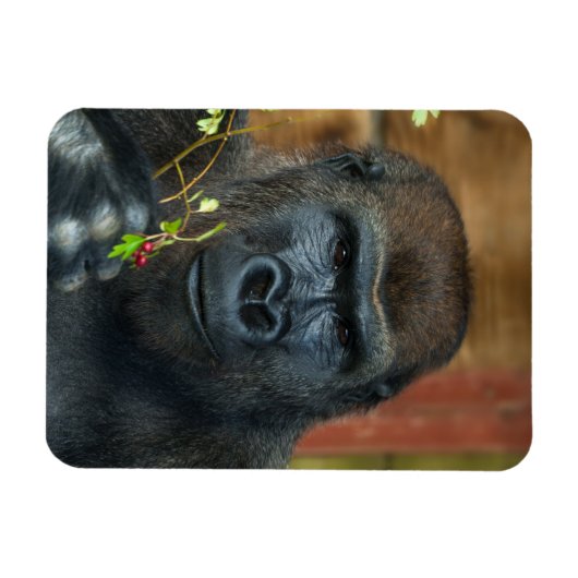 Gorilla und sein Berries-Foto Magnet (Horizontal)