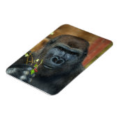 Gorilla und sein Berries-Foto Magnet (Linke Seite)