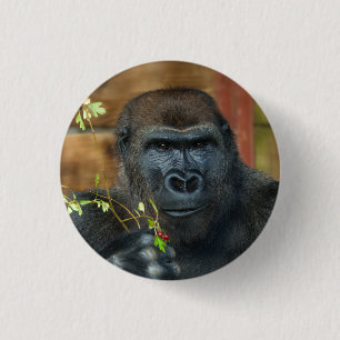 Gorilla und seine Berries Button