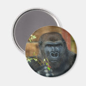Gorilla und seine Berries Magnet (Vorderseite/Rückseite)
