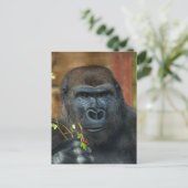 Gorilla und seine Berries Postkarte (Stehend Vorderseite)