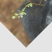 Gorilla und seine Berries Seidenpapier (Detail)