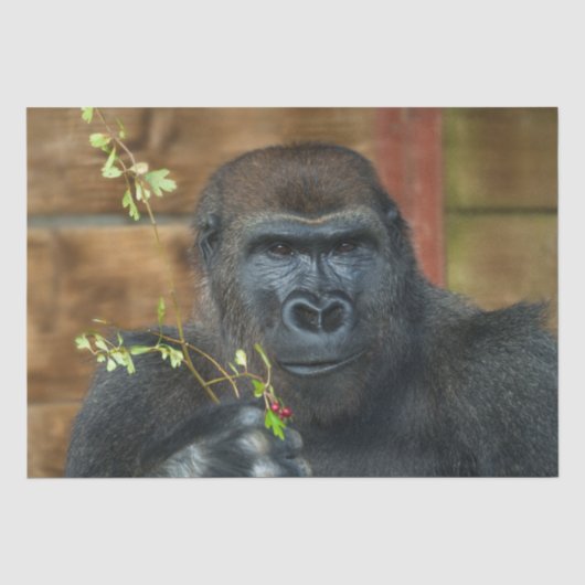 Gorilla und seine Berries Seidenpapier (Vorderseite)