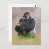 Gorilla und Yellow Daisy Postkarte (Vorne/Hinten)