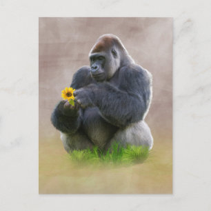 Gorilla und Yellow Daisy Postkarte