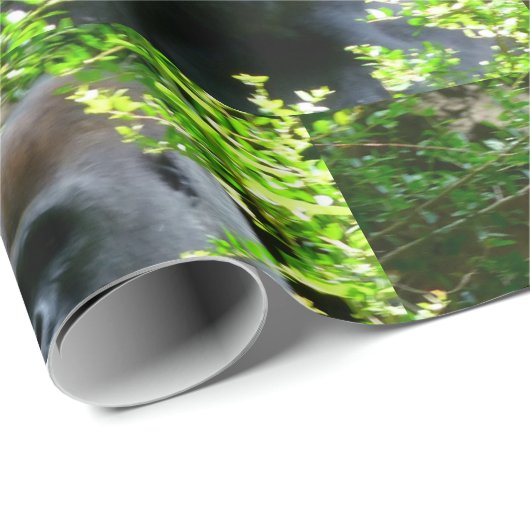 Gorilla Wrapping Paper Geschenkpapier (Rolleneckpunkt)