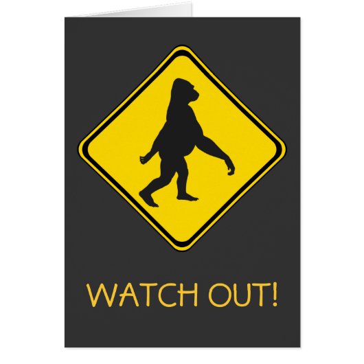 Gorilla Xing! (Vorne)