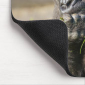 Gorilla Youngster Mousepad (Ecke)
