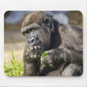 Gorilla Youngster Mousepad