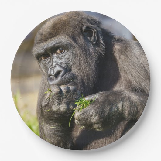 Gorilla Youngster Napkin Pappteller (Vorderseite)