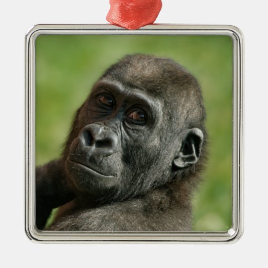 Gorilla Youngster Ornament Aus Metall (Vorne)