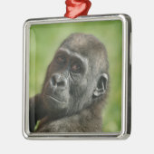 Gorilla Youngster Ornament Aus Metall (Links)