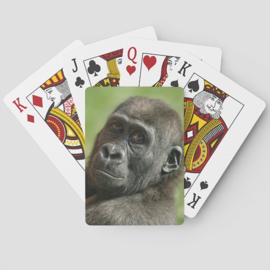 Gorilla Youngster Spielkarten (Rückseite)