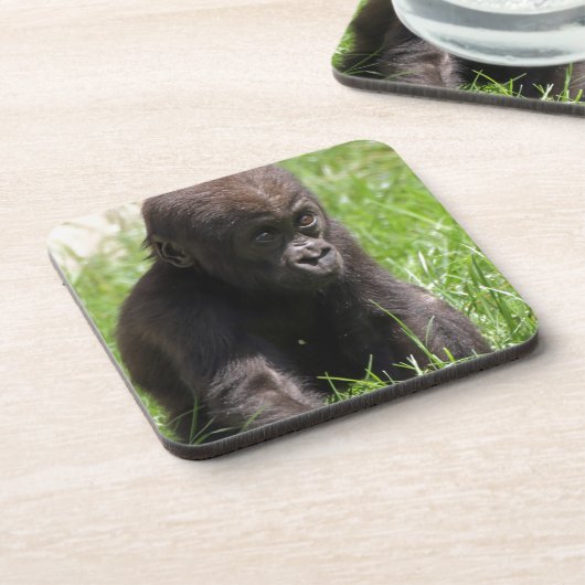 Gorillababy Getränkeuntersetzer (Linke Seite)