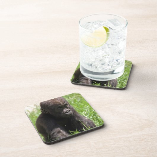 Gorillababy Getränkeuntersetzer (Rechte Seite)