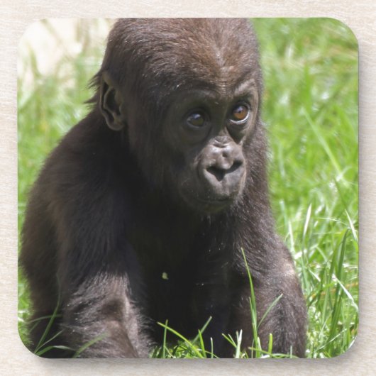 Gorillababy Getränkeuntersetzer (Vorderseite)