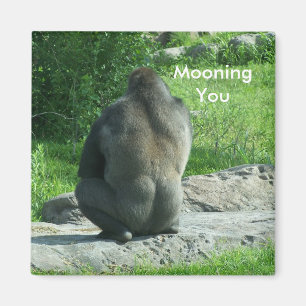 Gorillarückseite, Mooning Sie Magnet