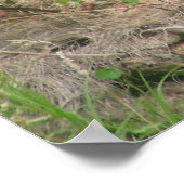 Gorillas 002 Leinwand Poster (Ecke)