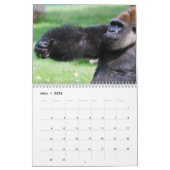 Gorillas als Kalender (Mär 2026)