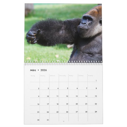 Gorillas als Kalender (Mär 2026)